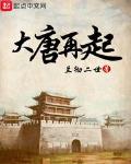 大唐再起最新章节免费阅读