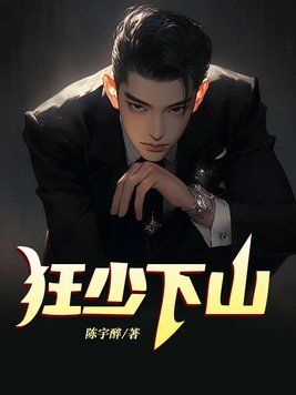 什么狂少的小说