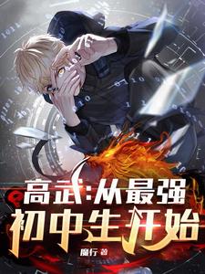 最强高武系统苏晨