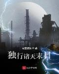 独行末日小说