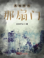 黑暗中的那一抹光小说