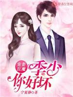 宠妻狂魔:季少你好坏txt小说免费阅读无弹窗