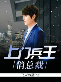 女总裁的上门兵王叶凡夏雨彤