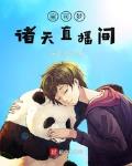 宝可梦之智
